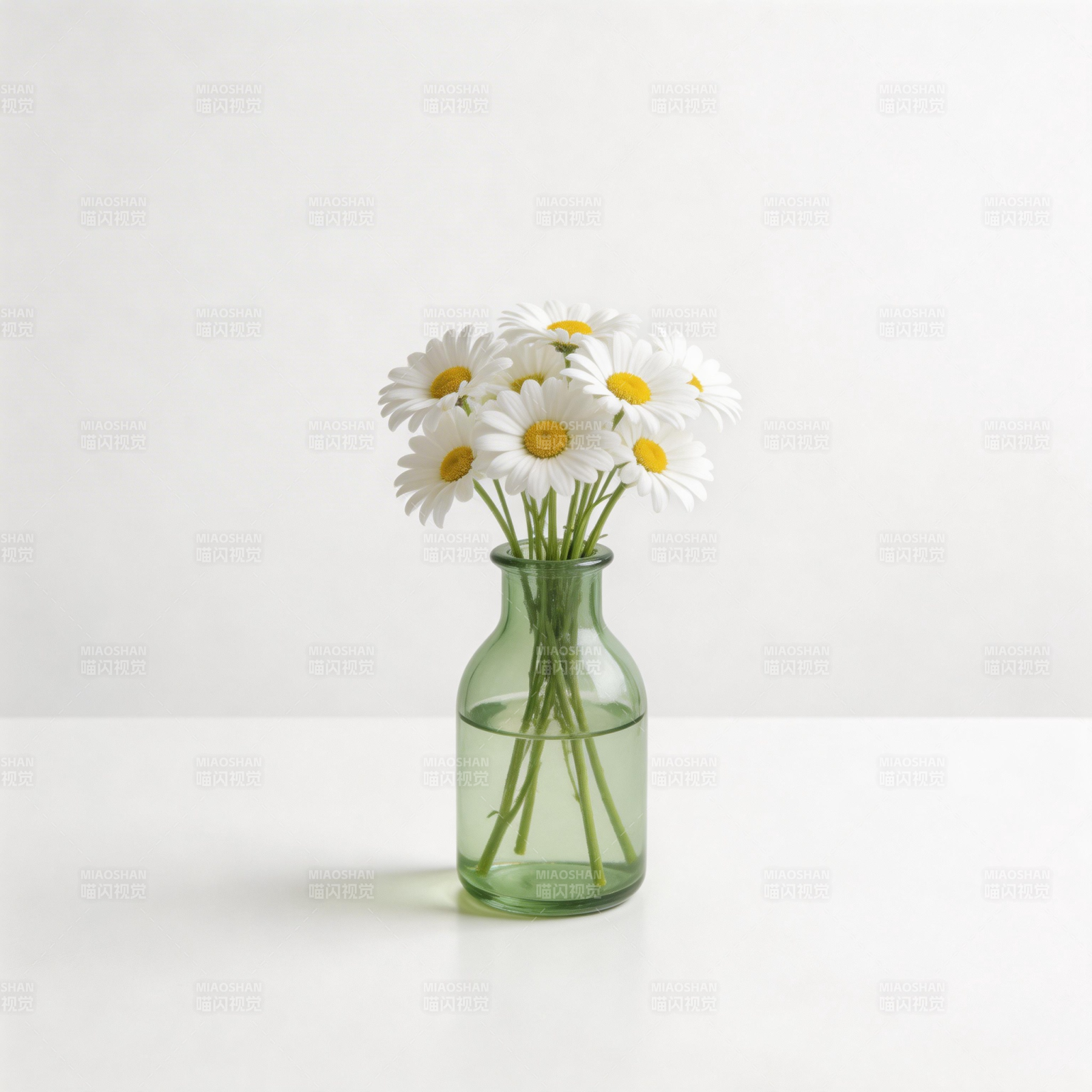 雏菊静谧之美图片