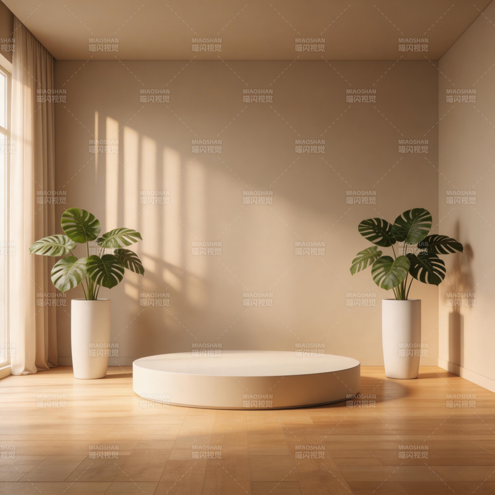 阳光下的绿植空间图片