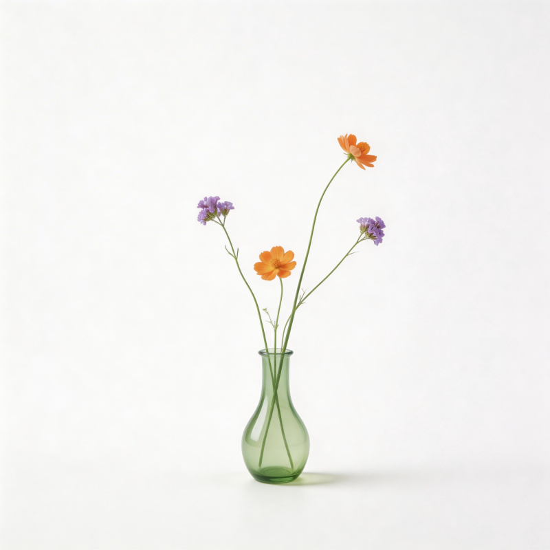 花瓶中的三朵花图片