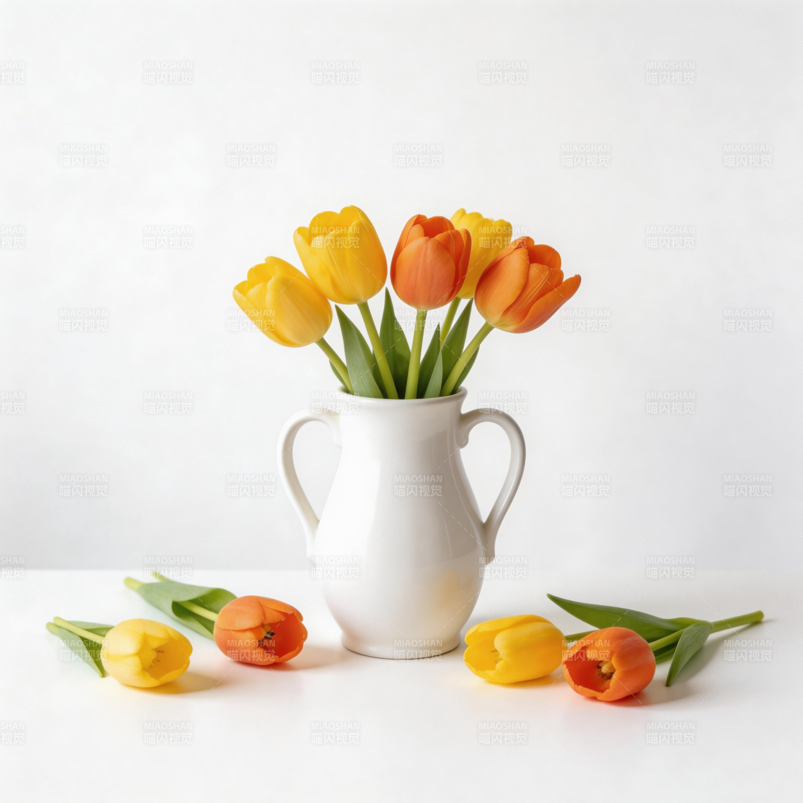 春日郁金香静物图片