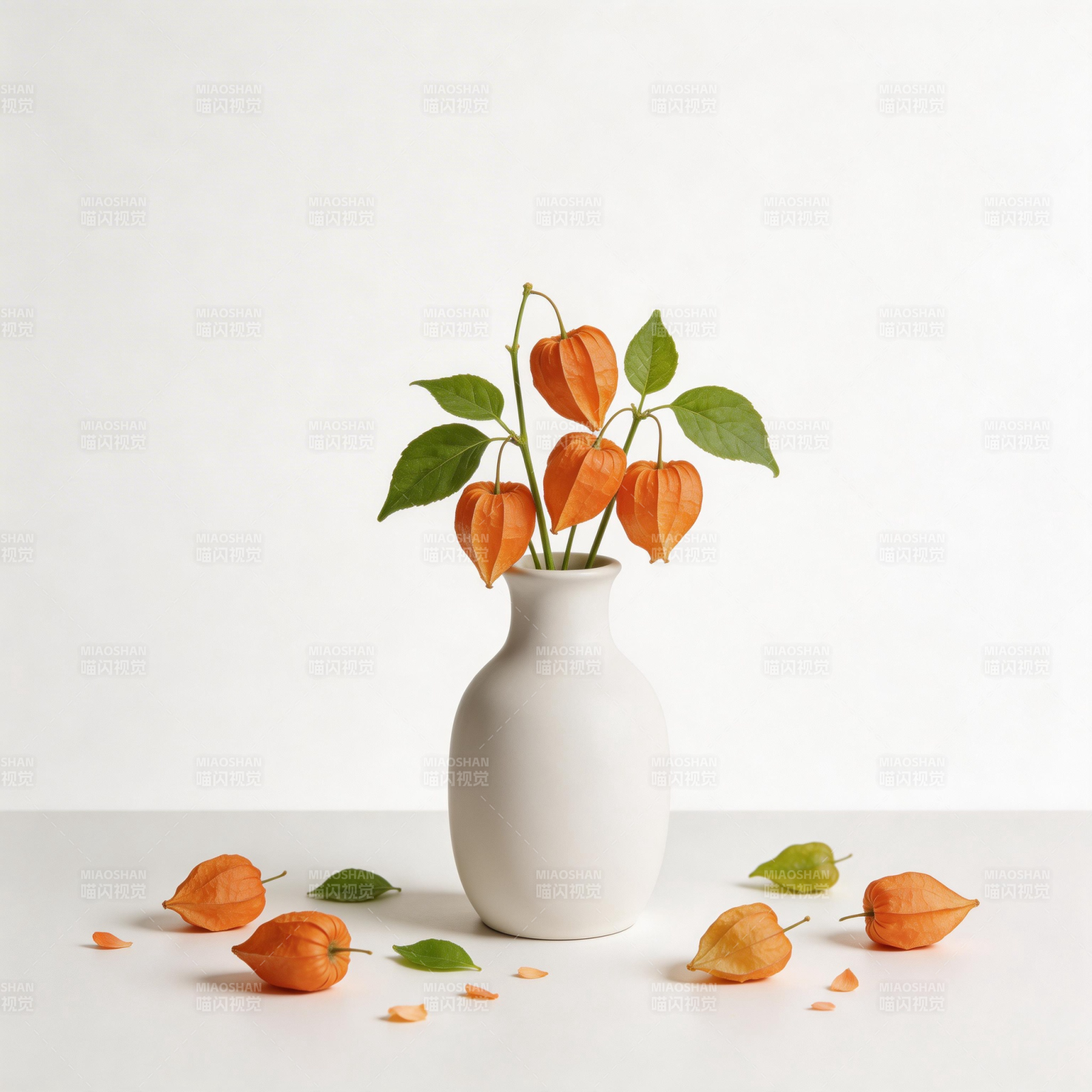 橙果绿叶静物图图片