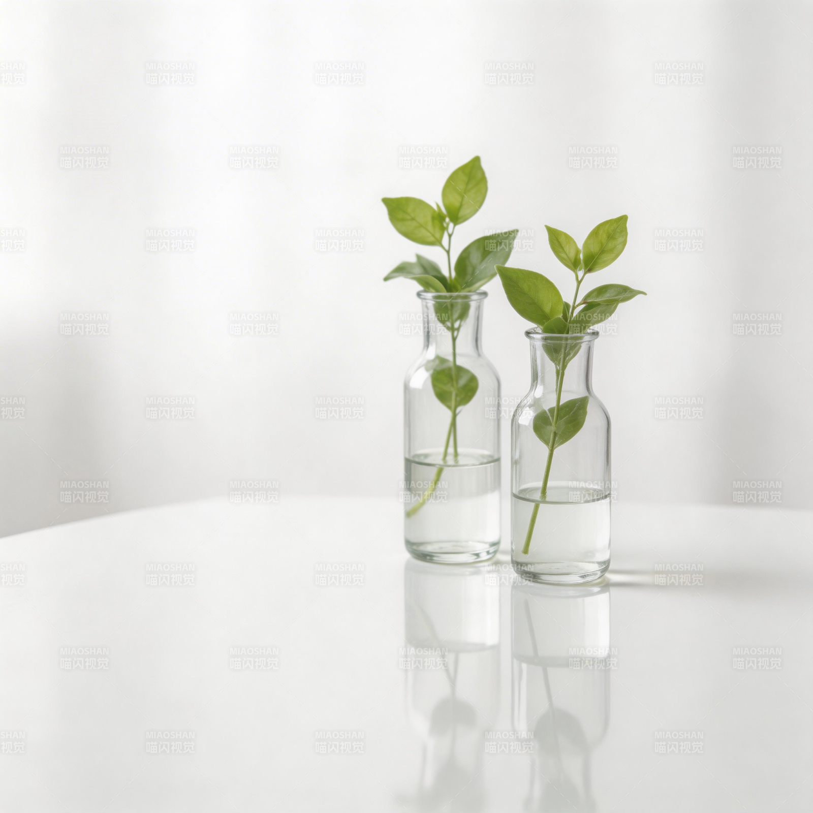 绿植水培静谧美图片