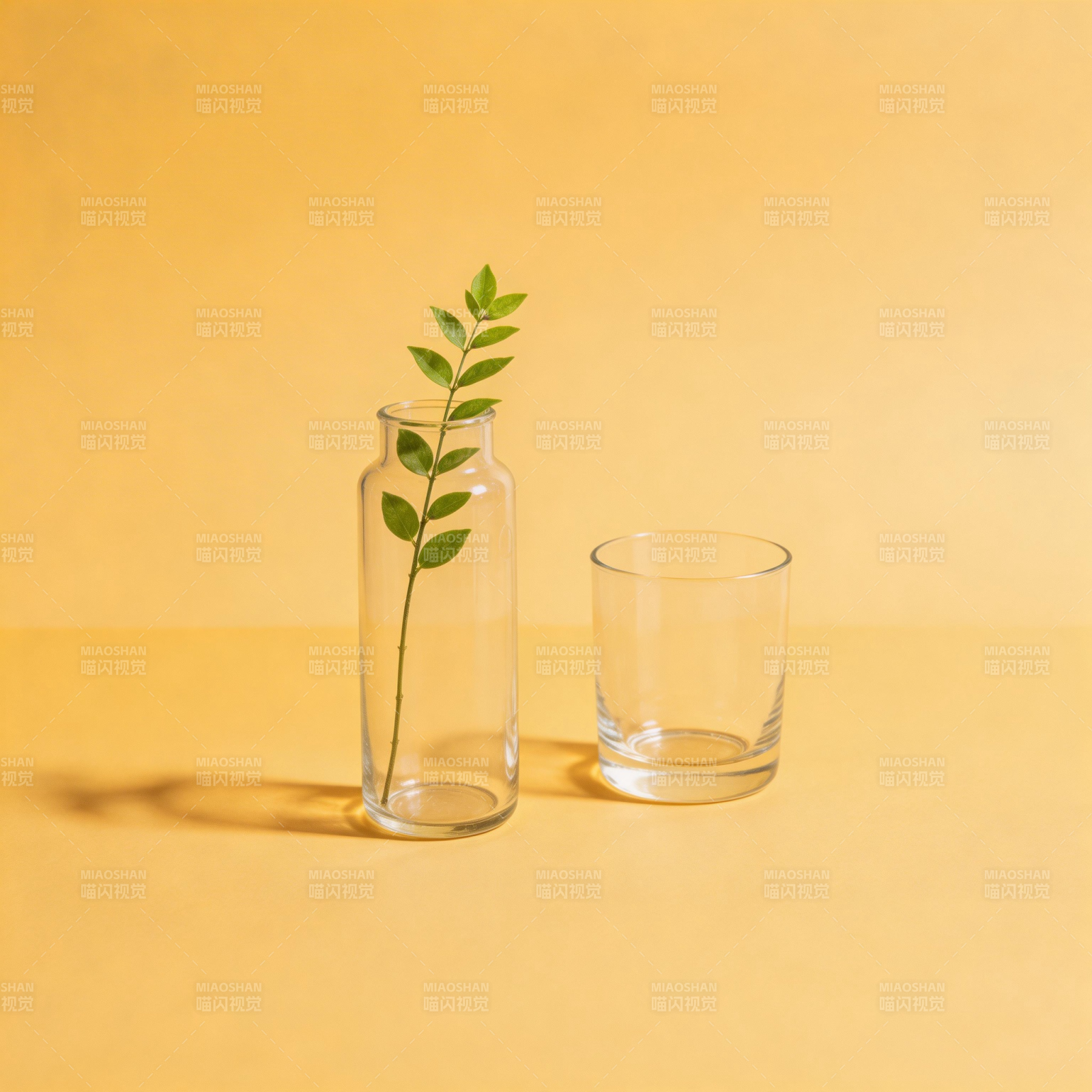 绿叶与玻璃杯图片