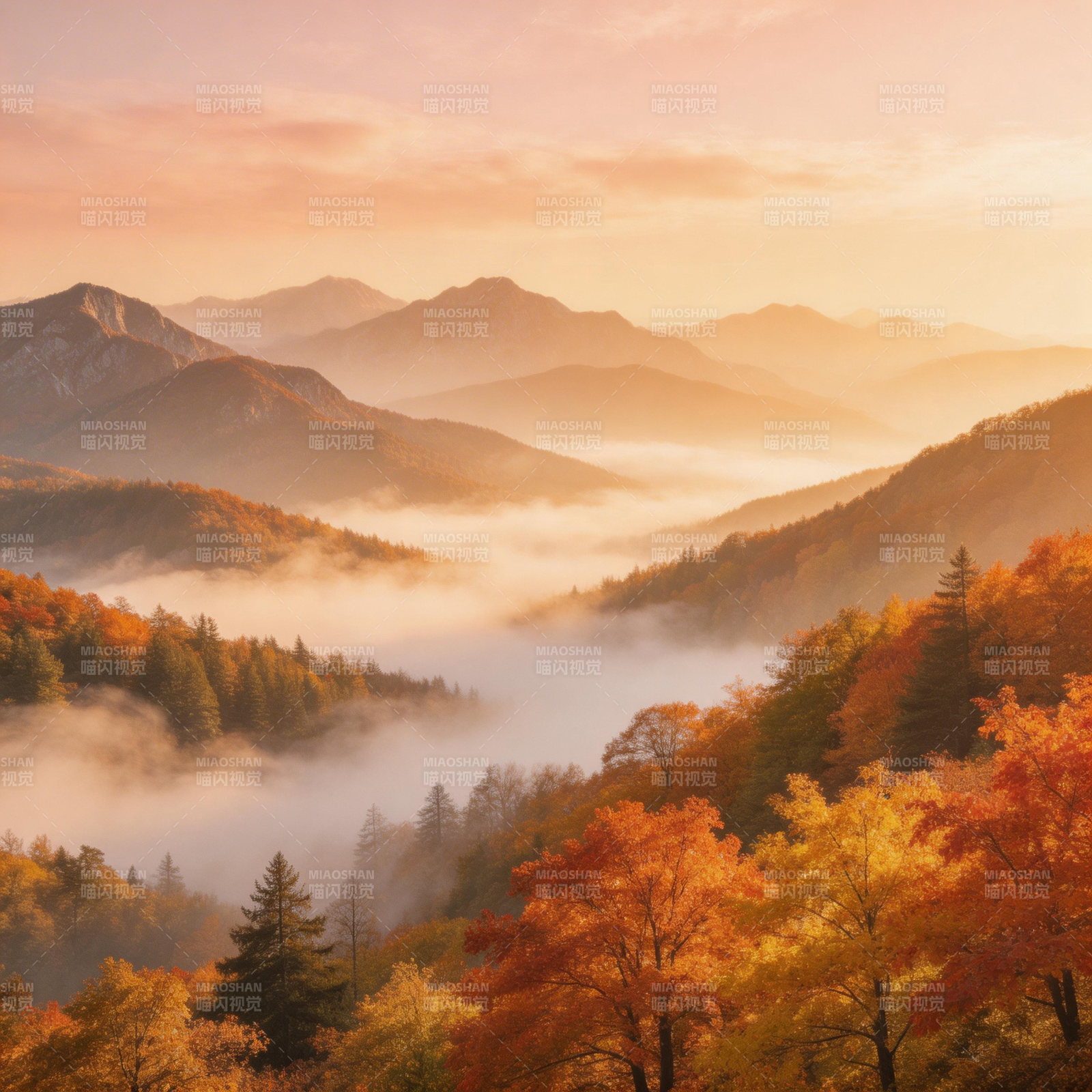 秋山晨雾图片