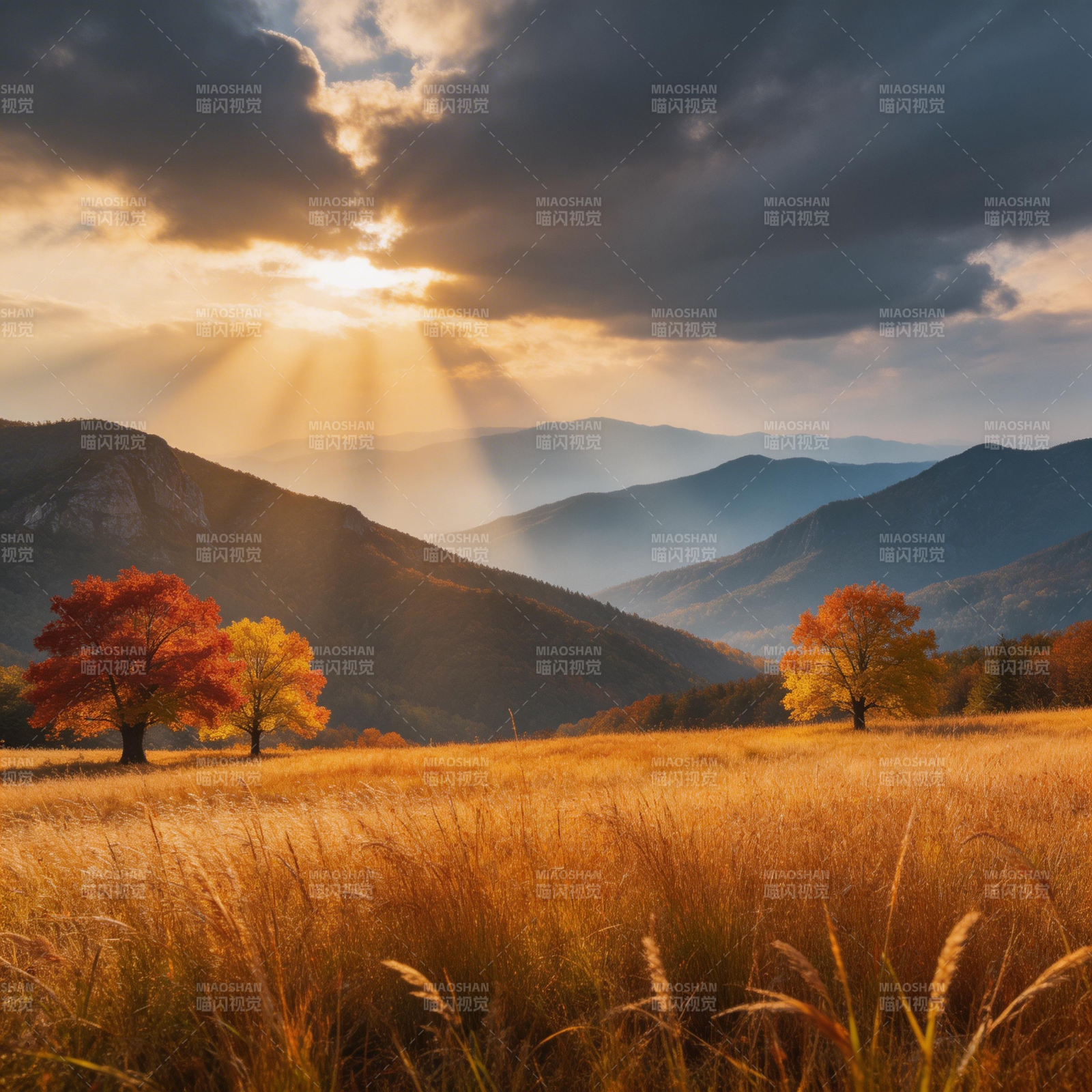 秋日山野风光图片