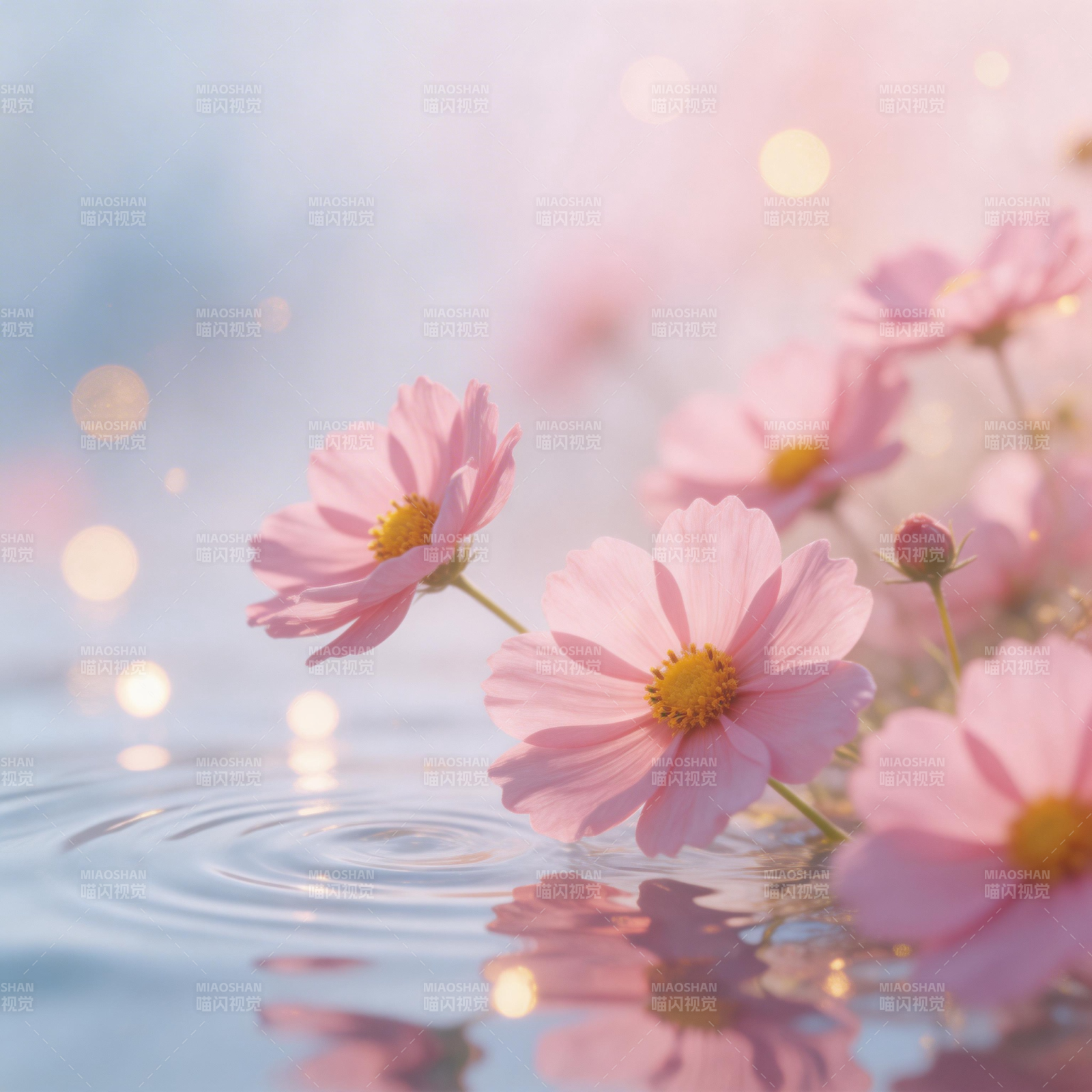 粉花映水波图片