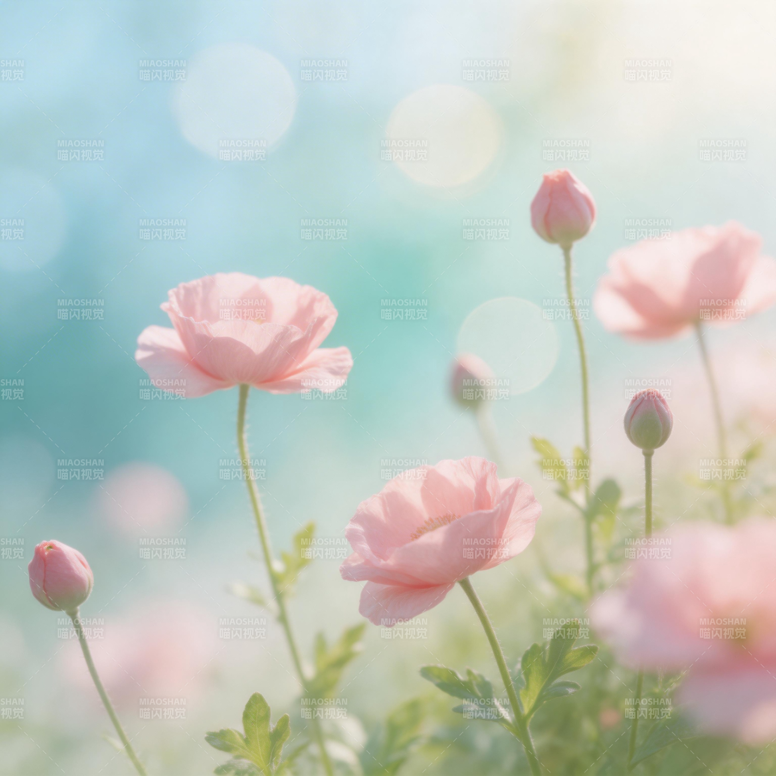 粉花轻舞春光中图片