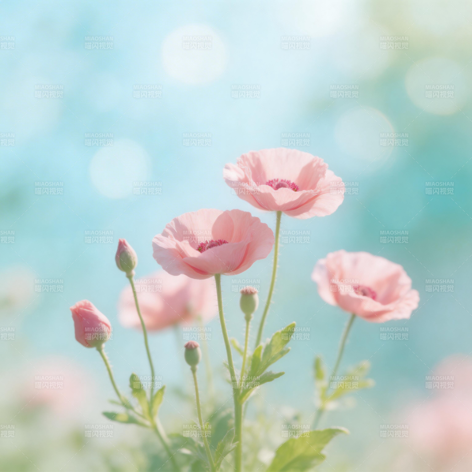 粉花轻舞春光里图片