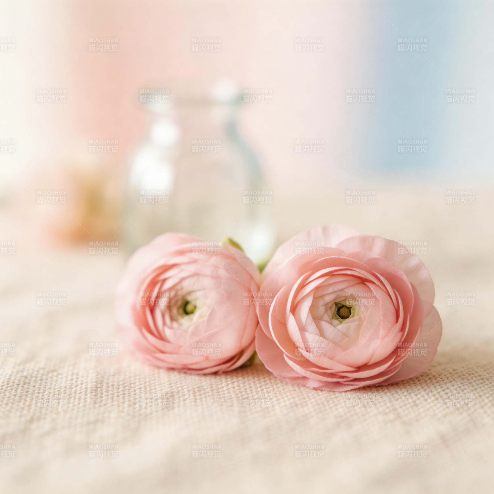 粉花静谧时光图片