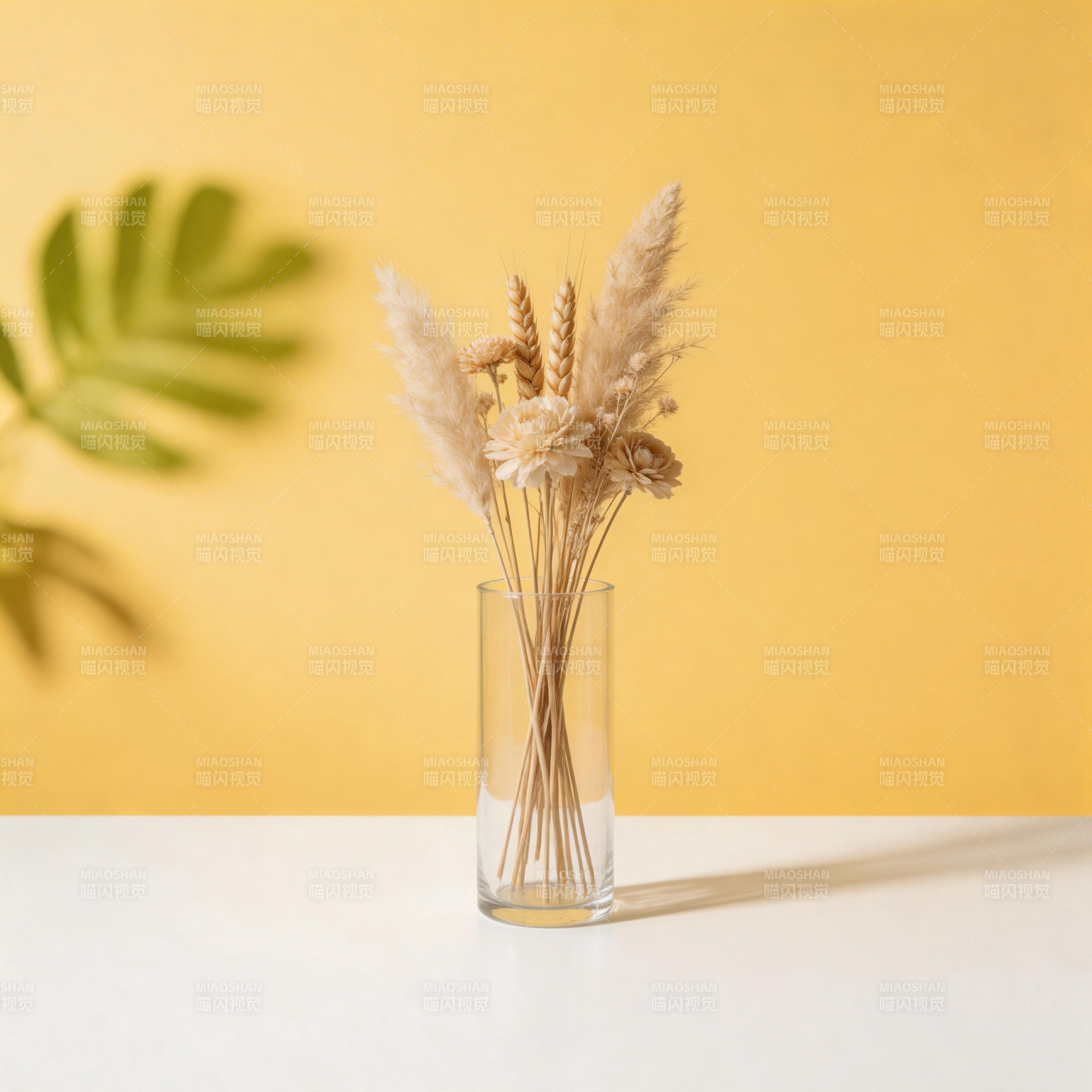 干花静物 暖色背景图片