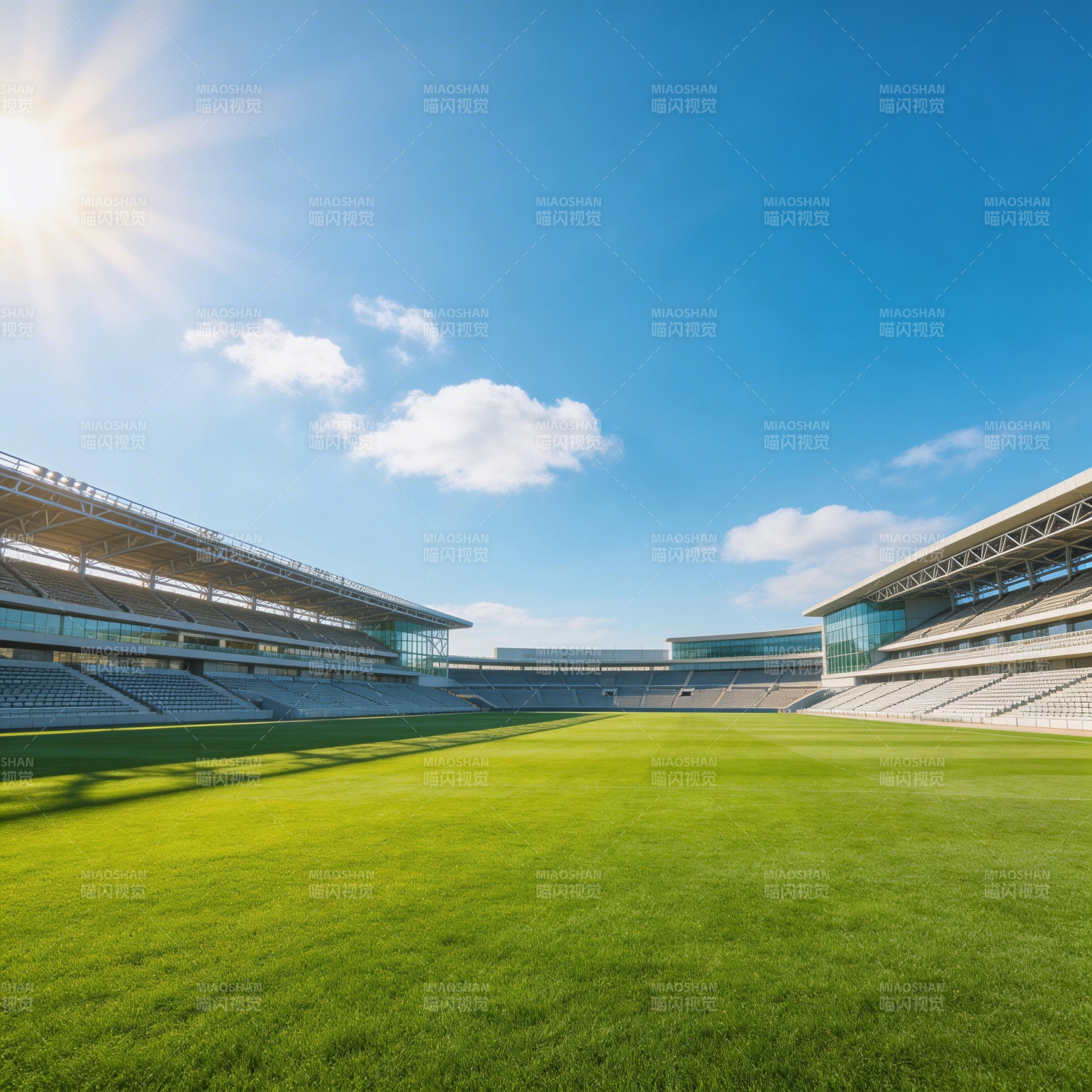 阳光下的绿茵场图片