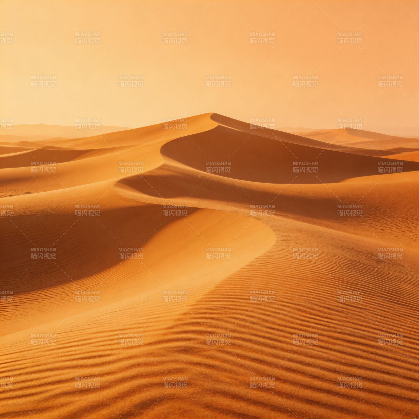 金色沙海图片