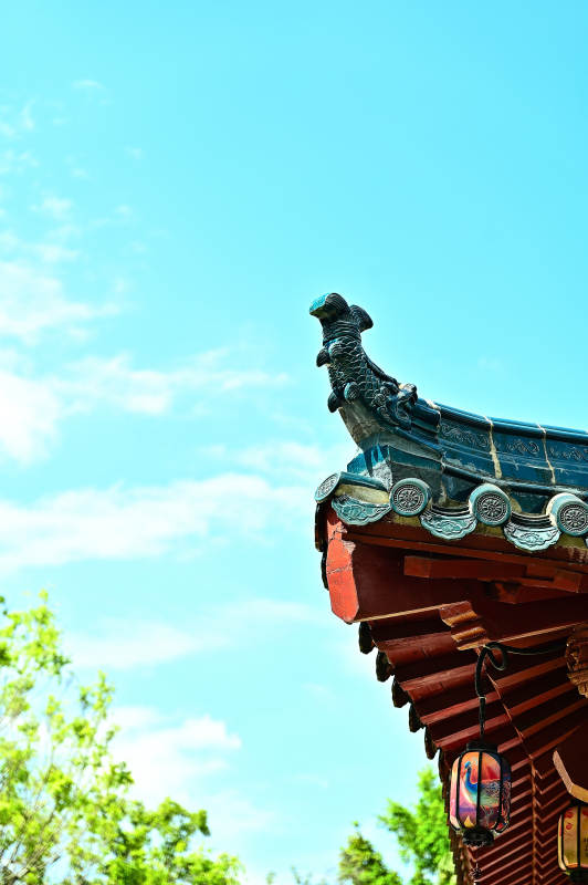 古檐飞角映蓝天图片