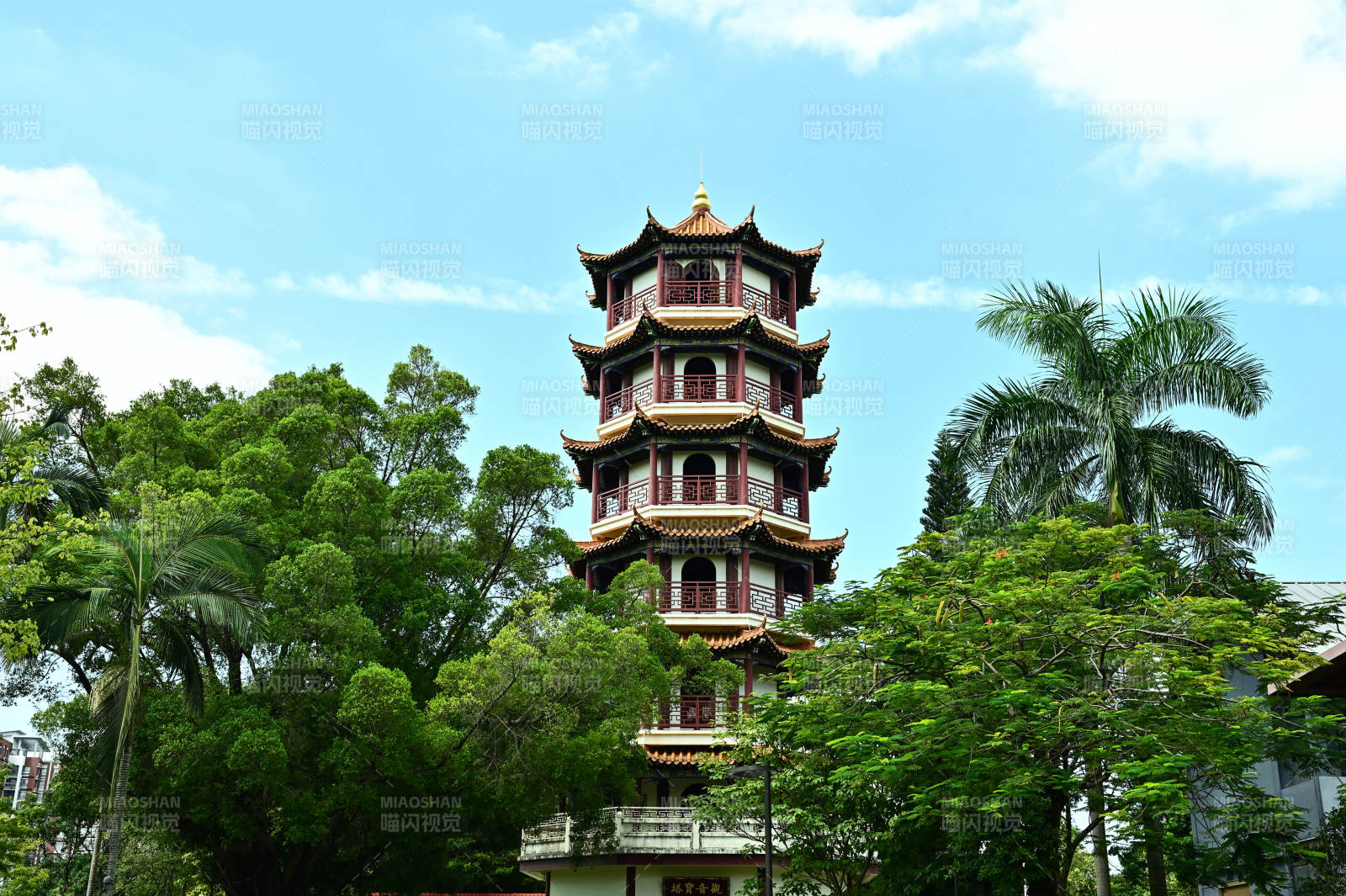 深圳龙园古塔耸立绿树间图片