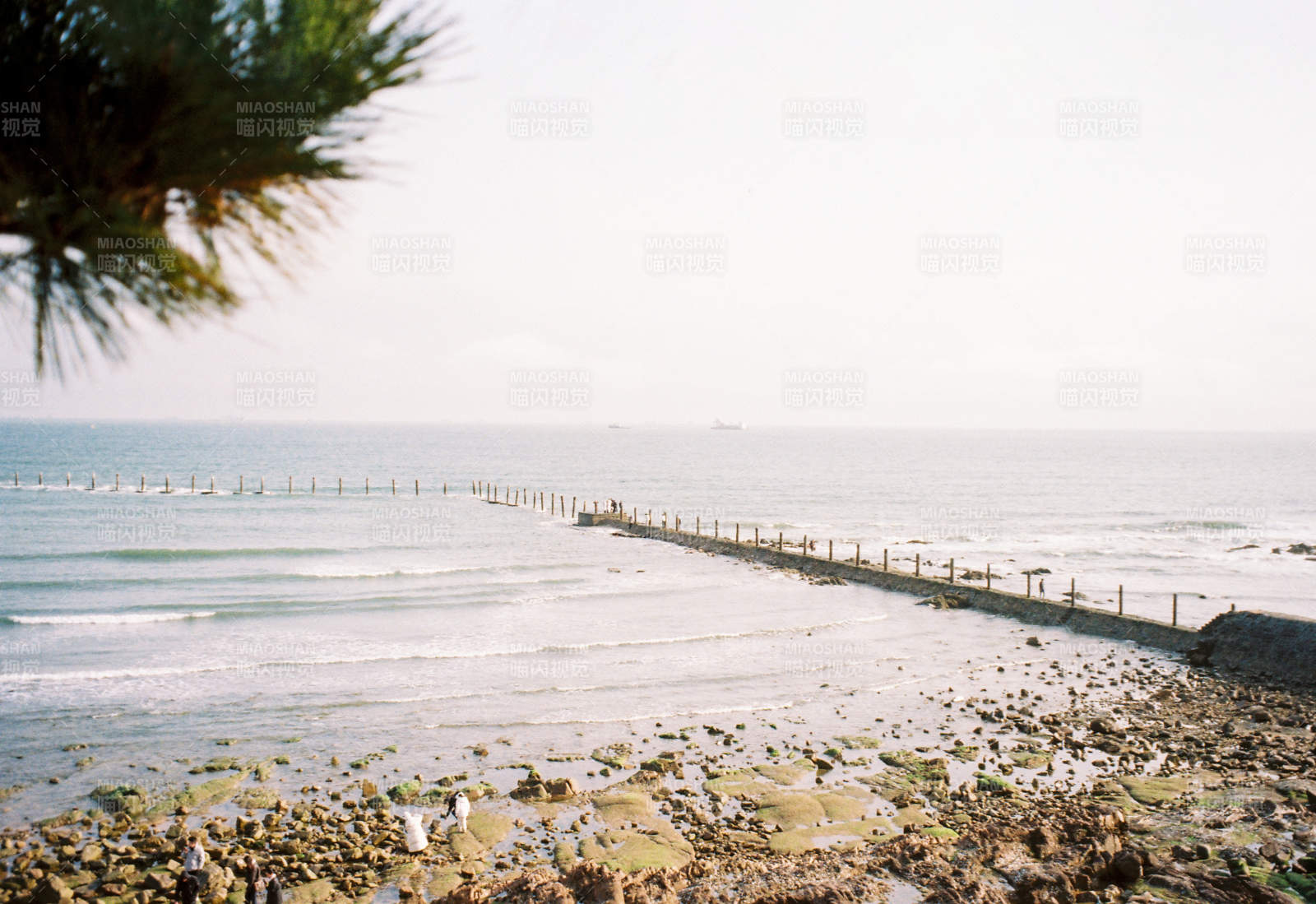海边长堤静谧景图片