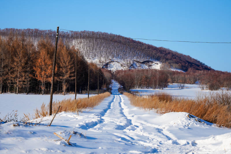 通向山林的小径图片