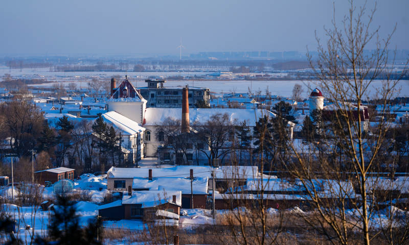 东北小镇冬景图片