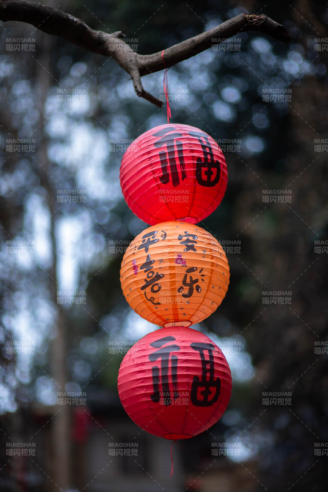 红灯笼挂枝头图片