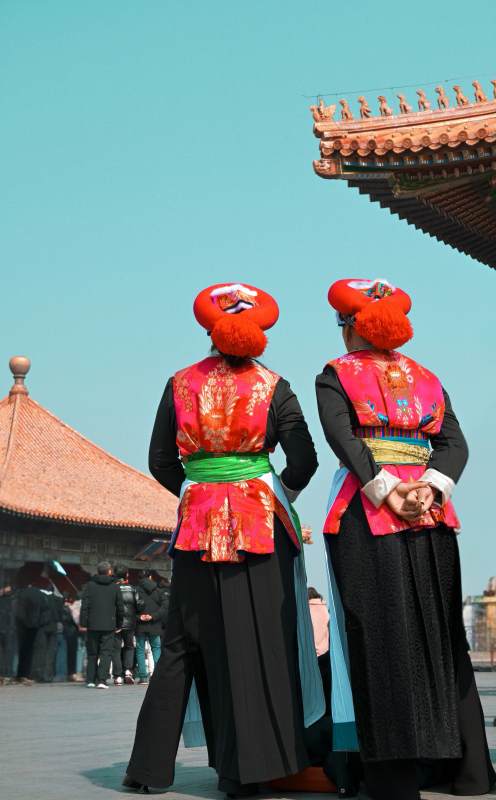 宫装背影 古韵悠然图片