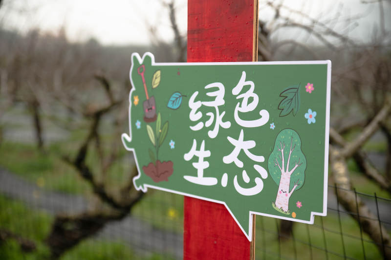 绿色生态园图片