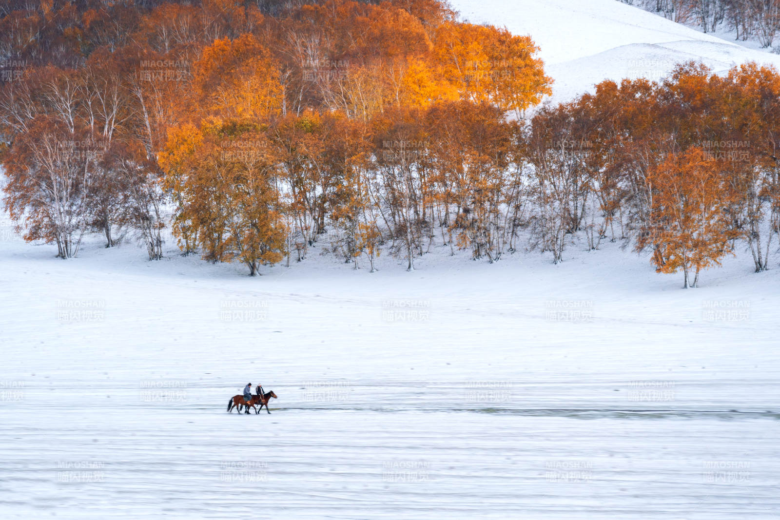 秋季雪后骑马图图片