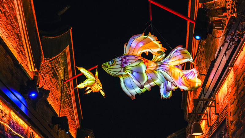 夜巷彩鱼灯饰图片