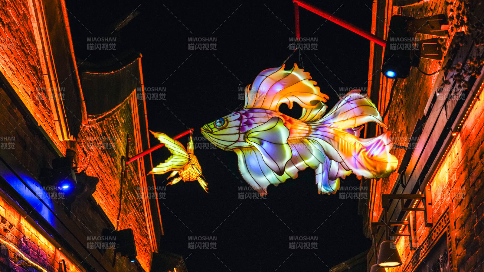 夜巷彩鱼灯饰图片