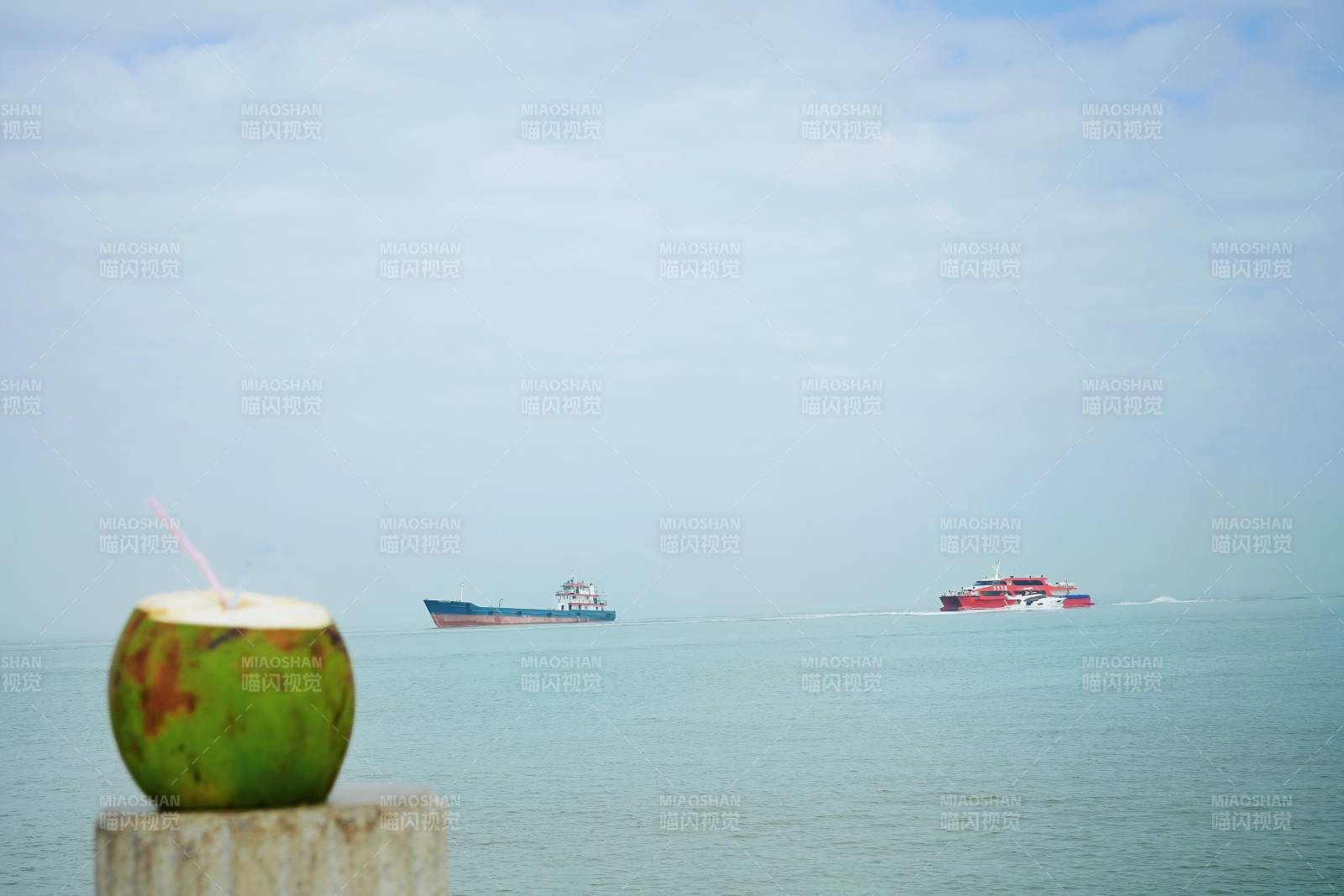 椰子与海景图片