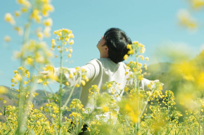花海中仰望蓝天图片