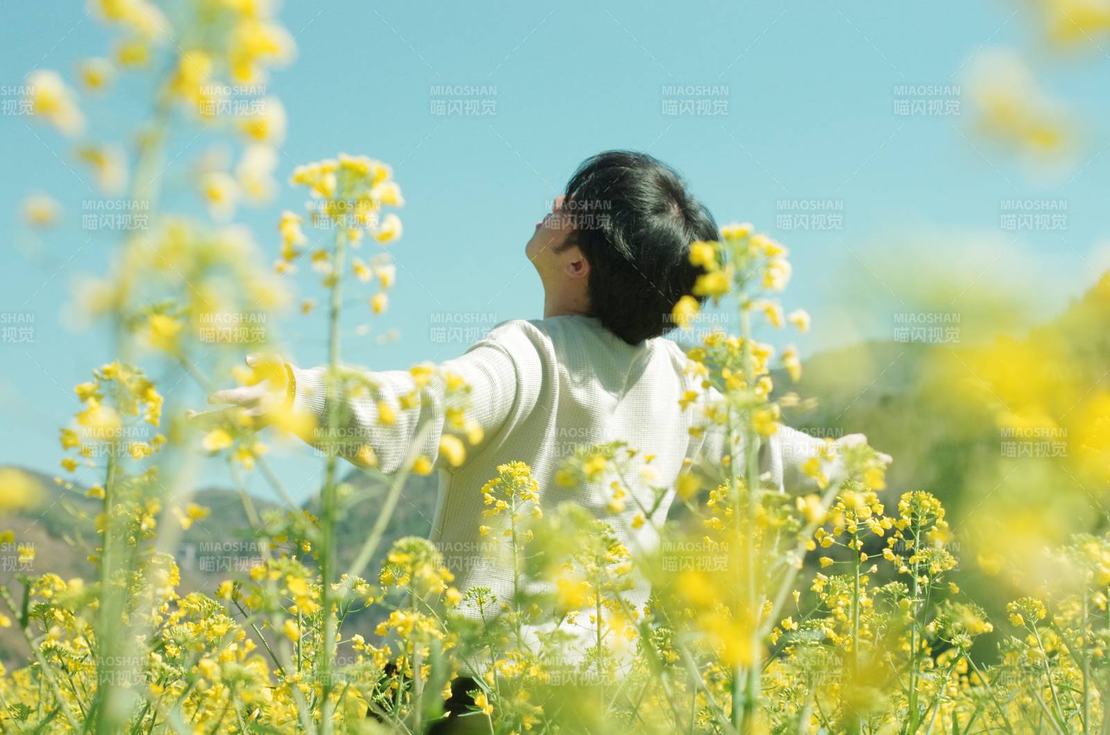 花海中仰望蓝天图片