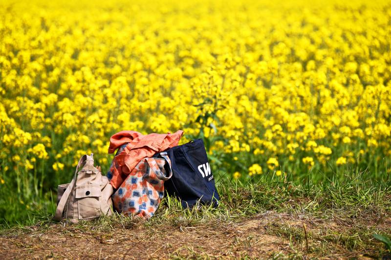 花田中的旅行包图片