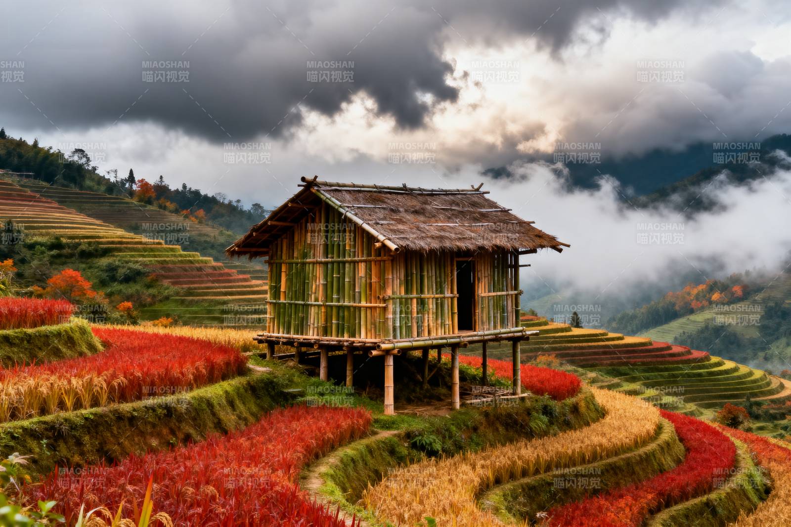 梯田上的竹屋图片