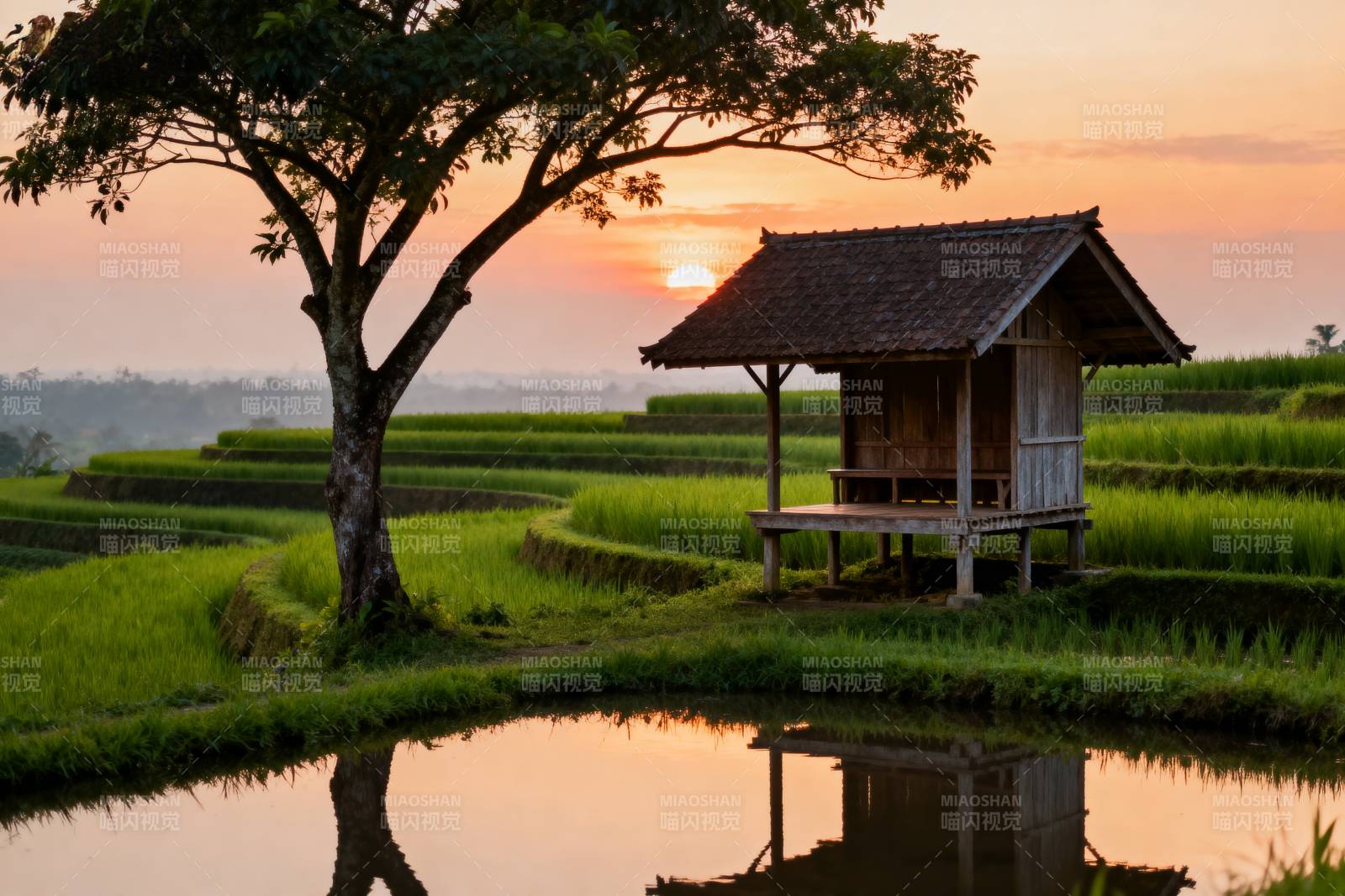 稻田夕照小屋图片