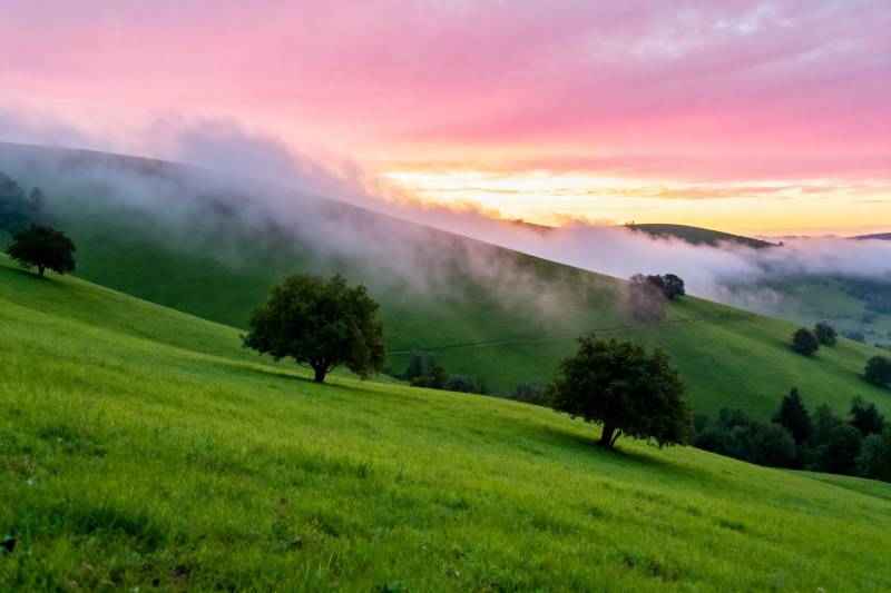 晨雾绿野日出图片