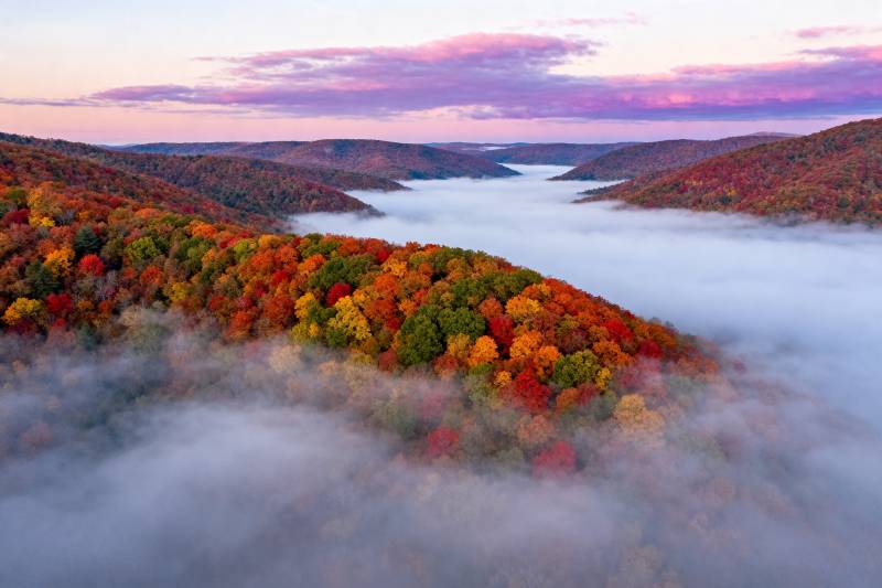 秋雾缭绕山林图片