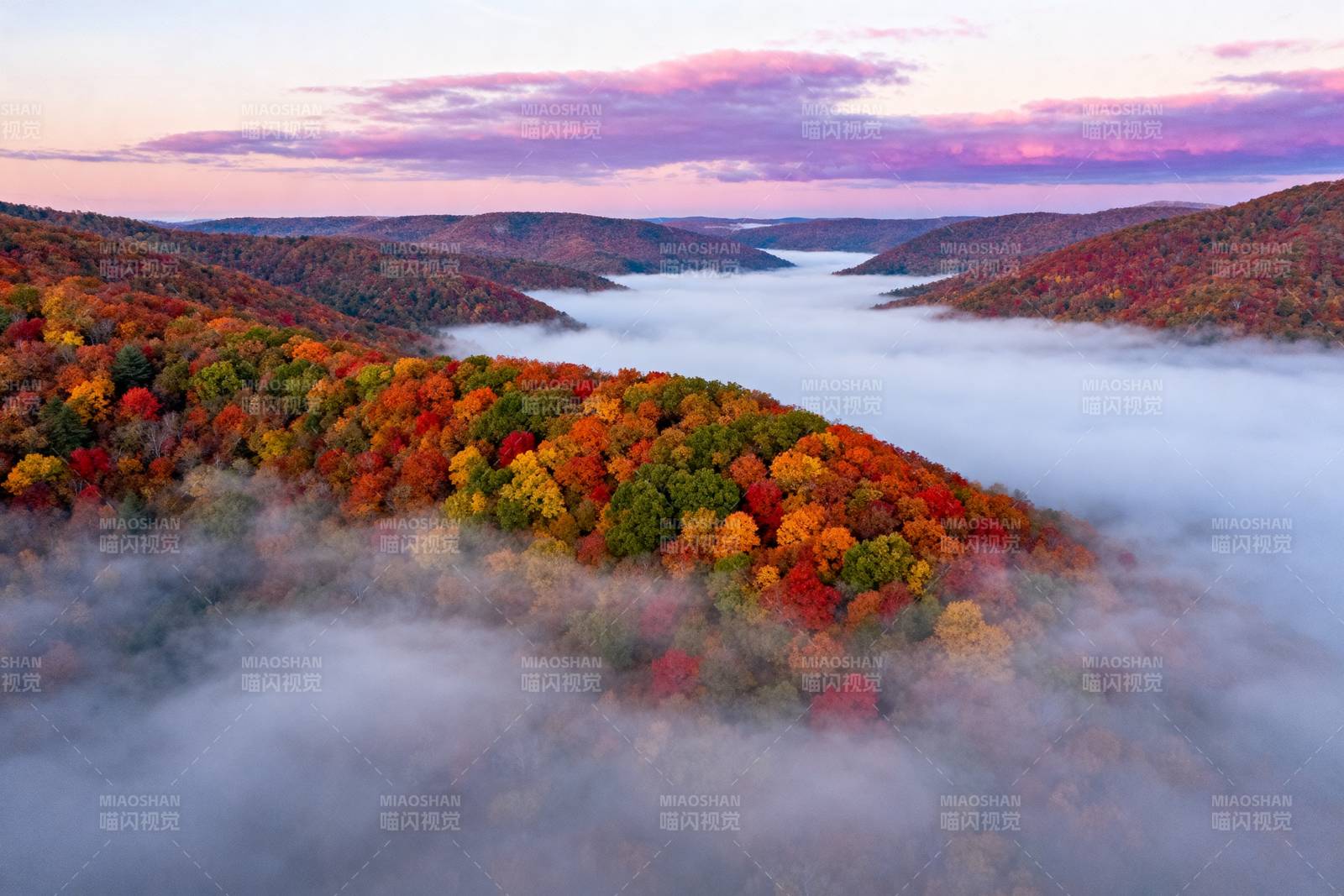 秋雾缭绕山林图片