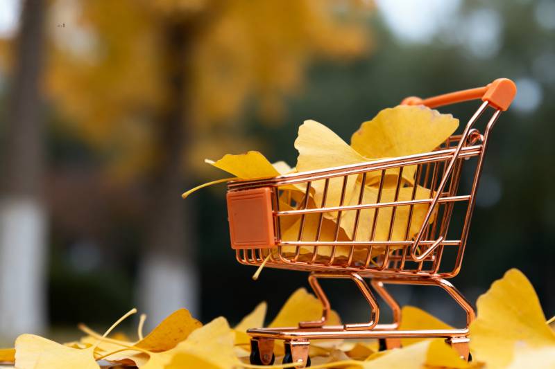 秋叶购物车图片