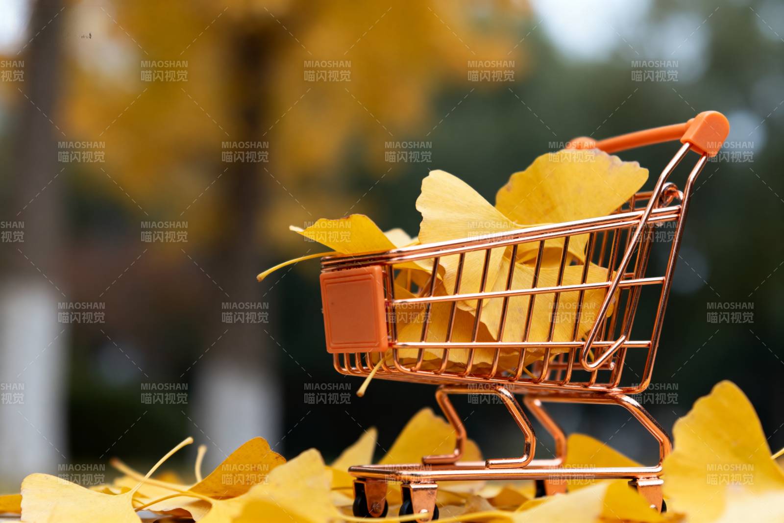 秋叶购物车图片