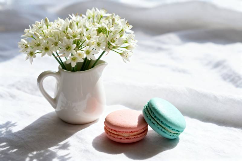 花与马卡龙的静谧图片