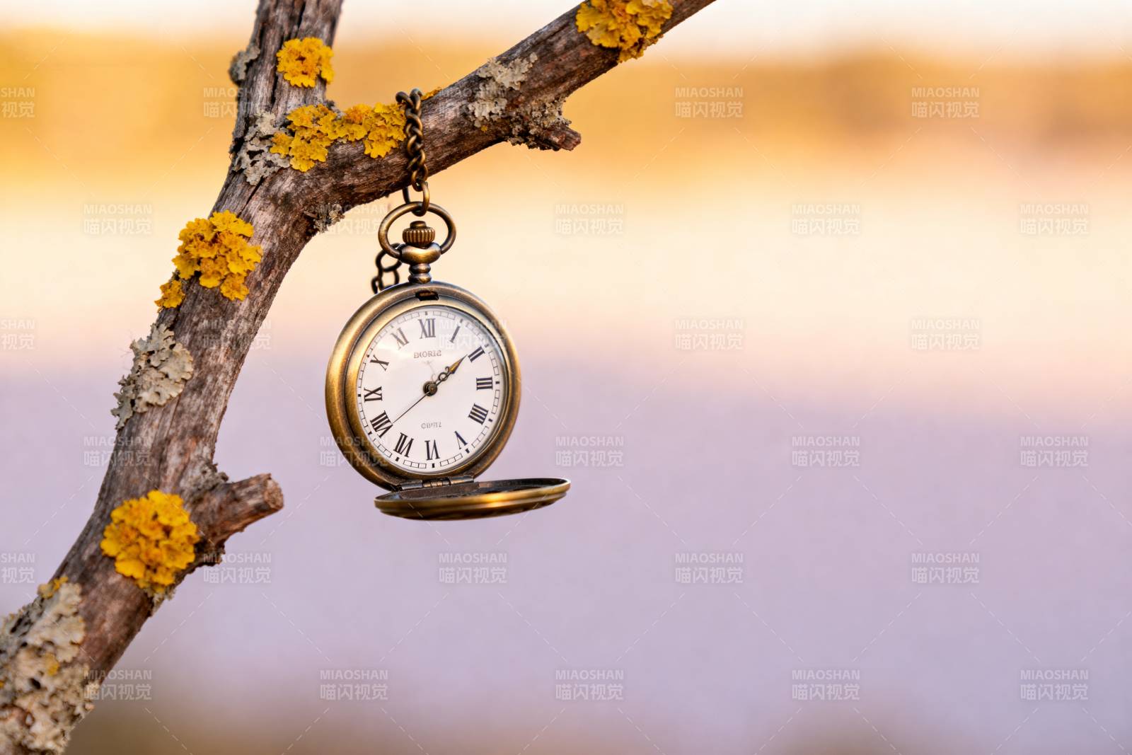 古钟悬枝 时光静好图片