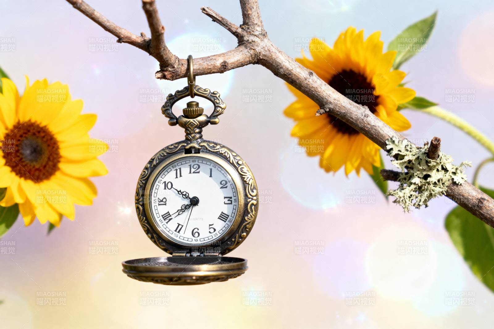 时光静好 花间钟声图片