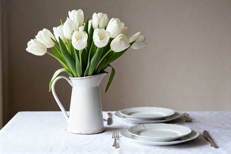 白郁金香静物图片