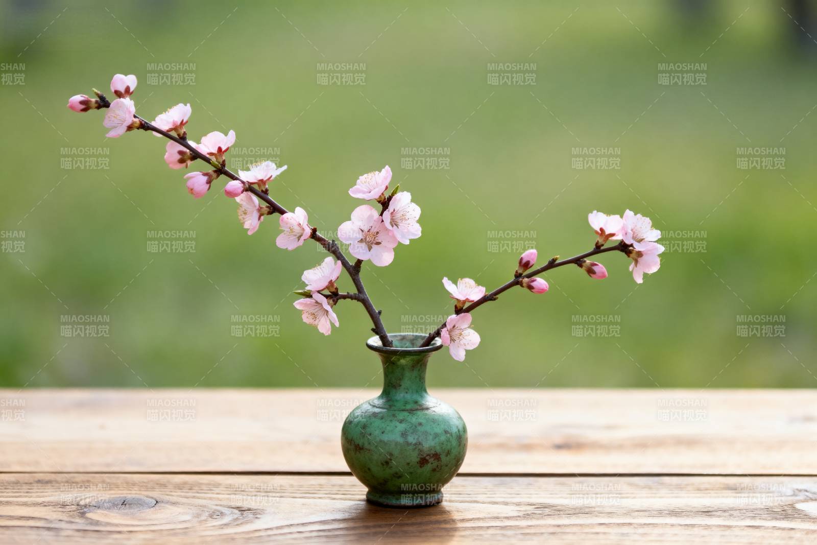 樱花枝头春意浓图片