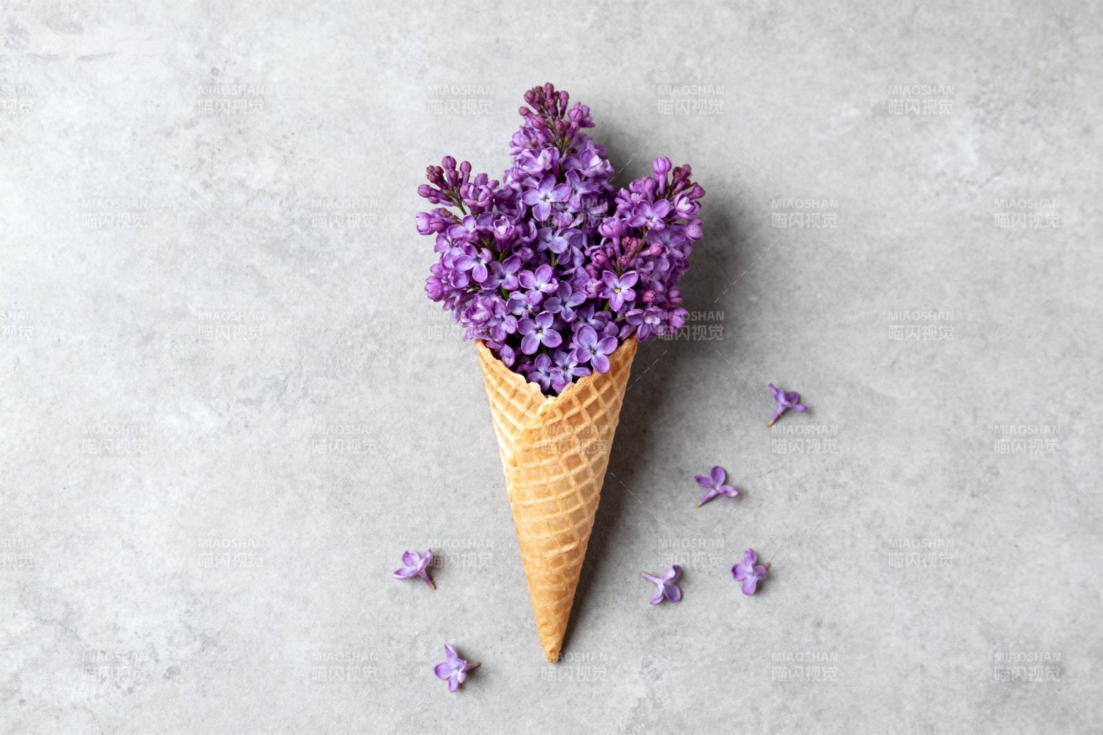 紫花冰激凌锥图片
