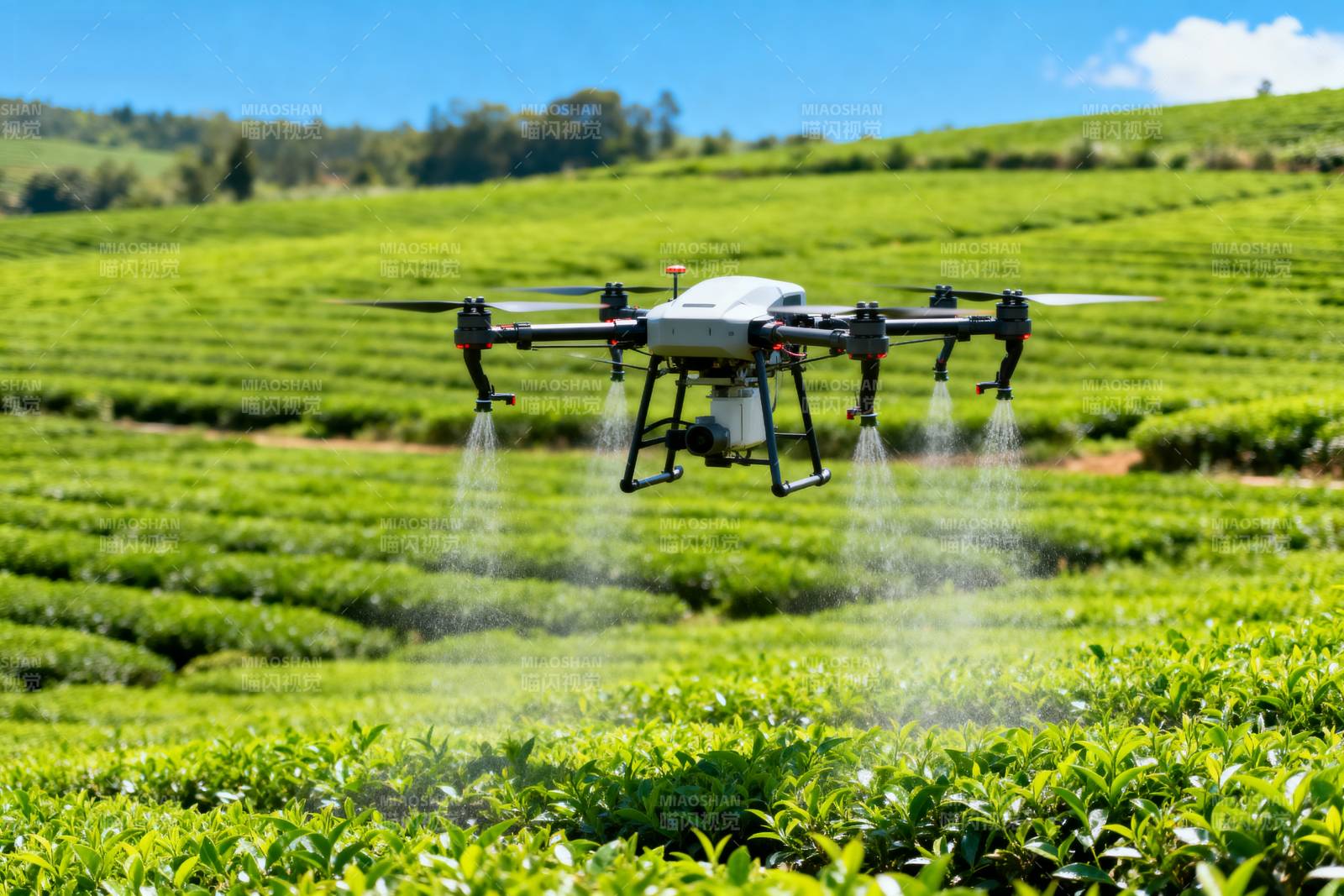 无人机喷洒茶园图片