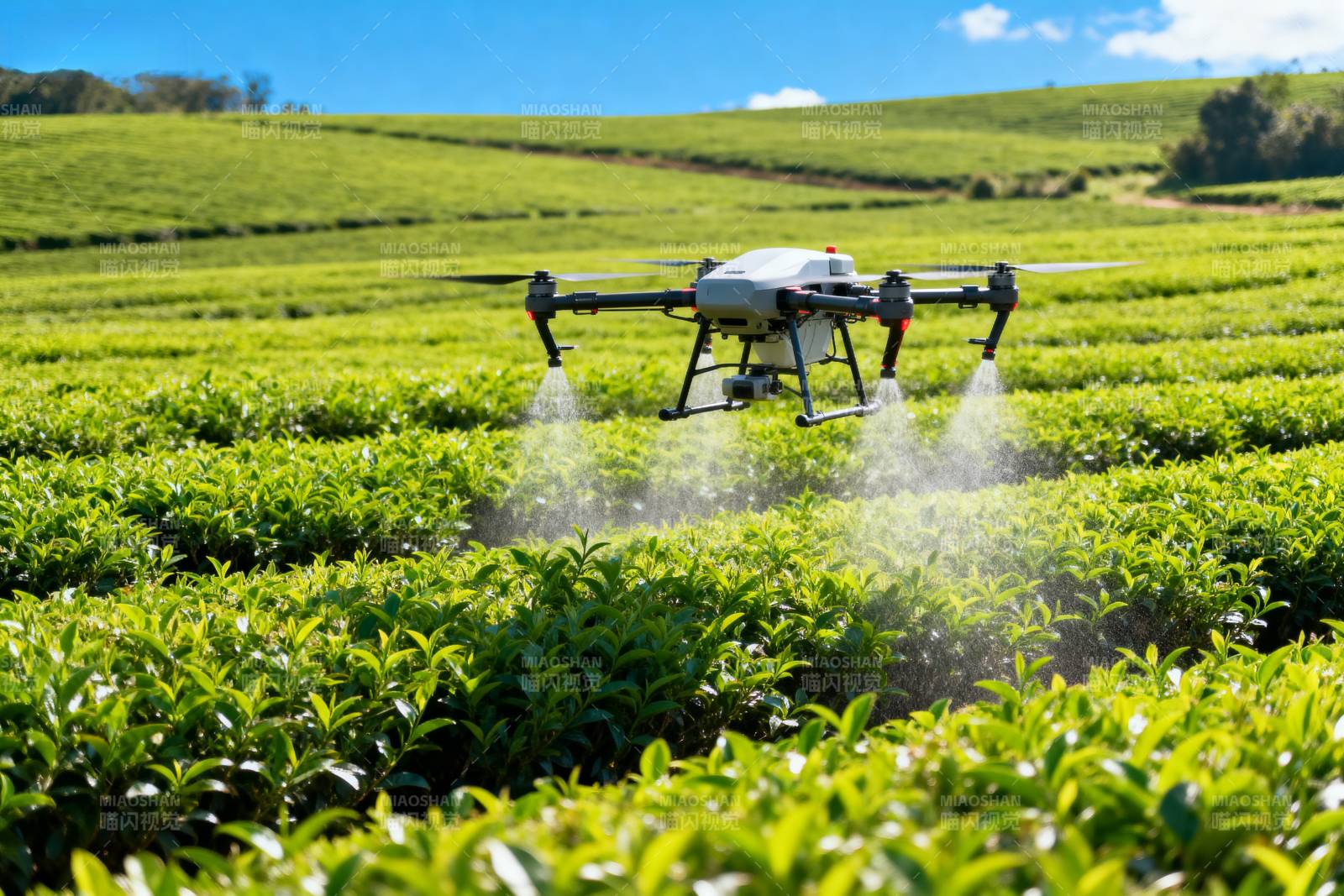 无人机喷洒茶园图片