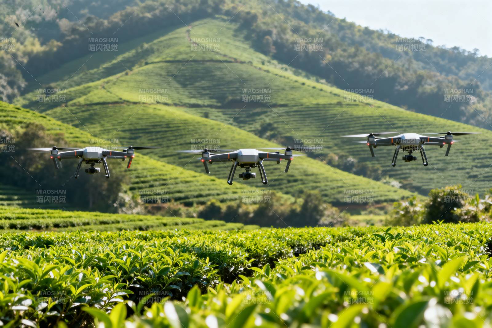 无人机茶园巡检图片