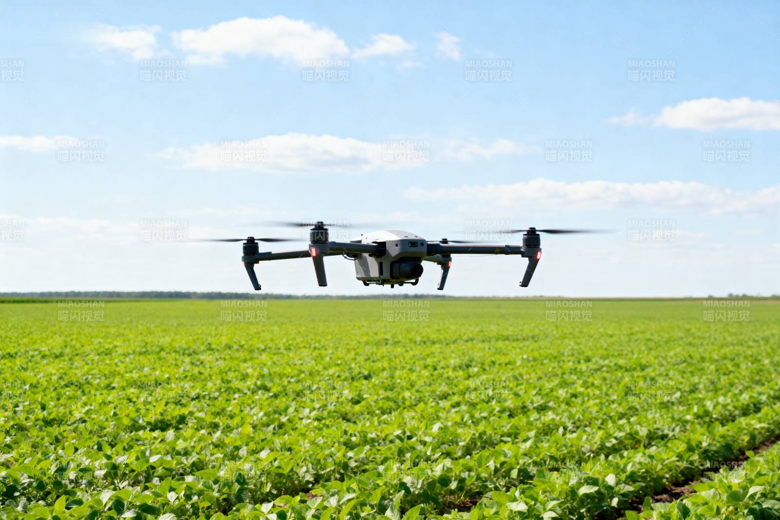 无人机飞越绿野图片