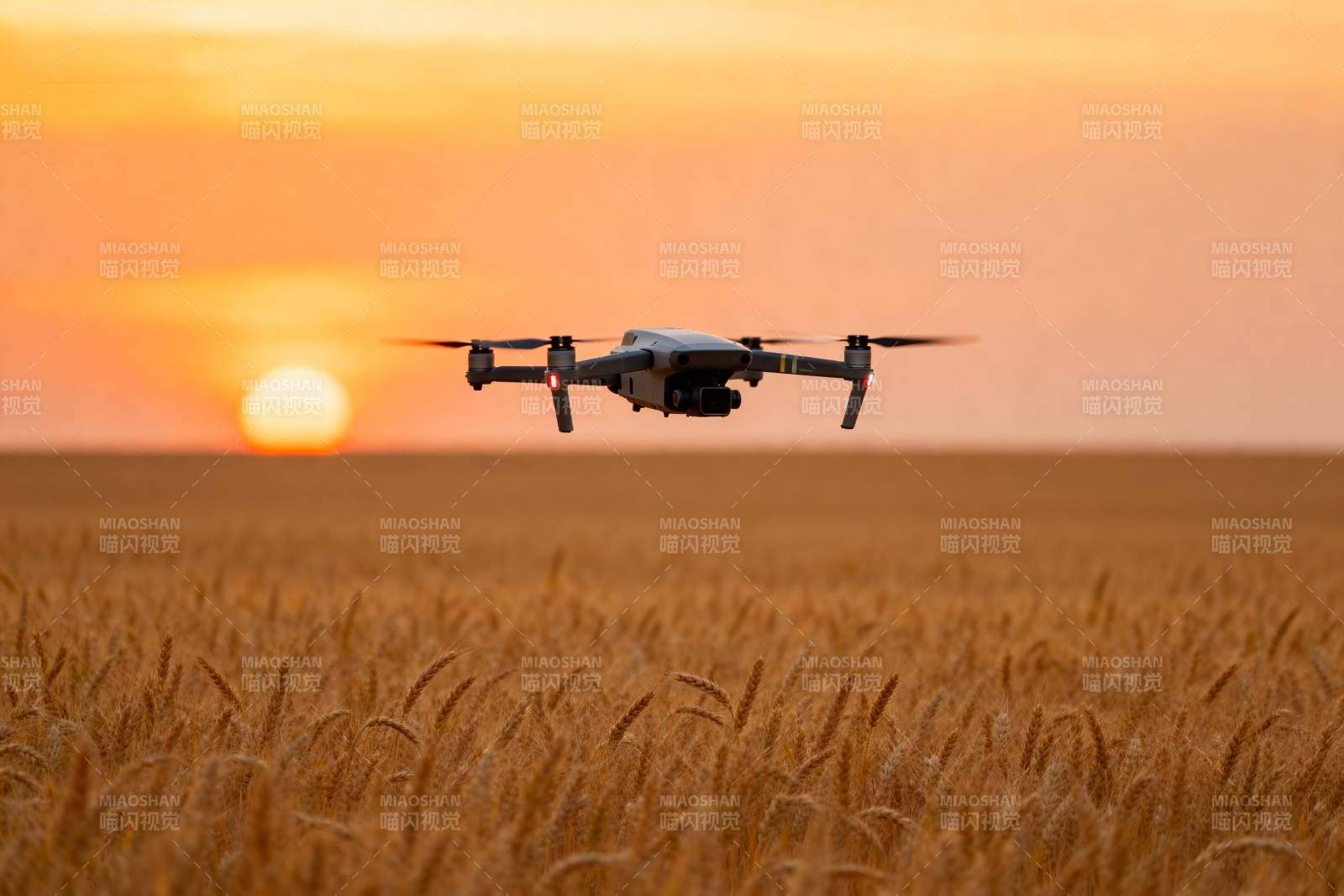 无人机飞越麦田图片