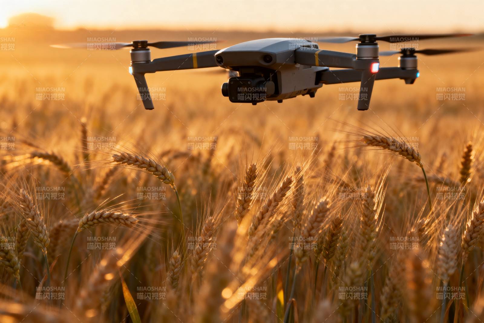 无人机飞越麦田图片